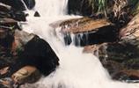 玉龍?jiān)怼㈨懰?></a></dd>
  <dd>
	 

	

	 

	　　雨母山西北一個(gè)山皂，東西縱向長(zhǎng)達(dá)1公里。有叫玉龍?jiān)?，有叫響水皂。該皂有響水泉和響水瀑布。在玉龍?jiān)砼c九龍沖相隔的山坳，叫玉龍騰山坳，簡(jiǎn)稱玉龍坳。玉龍土皂現(xiàn)駐有供電所、林場(chǎng)和蒸湘區(qū)黨校。在玉龍?jiān)淼?，有一泉臺(tái)，叫玉龍臺(tái)。...[<a href=