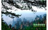 【純玩獨(dú)立成團(tuán)線路1】張家界、袁家界、天子山、寶峰湖/黃龍洞二晚三日