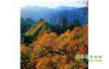 長沙往返張家界、天子山、寶峰湖/黃龍洞三日游