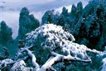 【純玩拼團(tuán)線路18】下午班：鳳凰古城、張家界、天子山三晚四日游