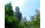 【純玩拼團(tuán)線路 張家界出發(fā)A2線】張家界、袁家界、天子山、金鞭溪、鳳凰古城2晚3日游